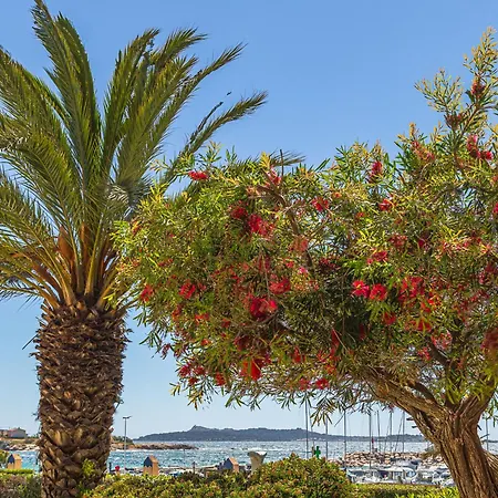 Appartement Les Rivages De Coudouliere-16 By Interhome *